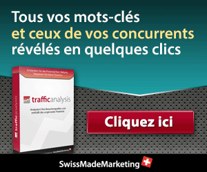 TrafficAnalysis by SwissMadeMarketing TrafficAnalysis by SwissMadeMarketing